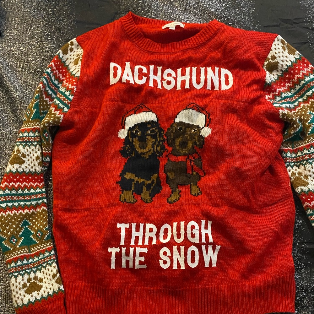 Dachshund through the snow sweater